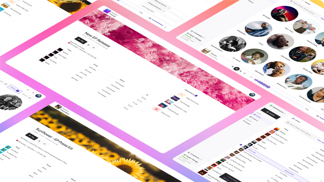 Overview of different features offered by Bridge.audio