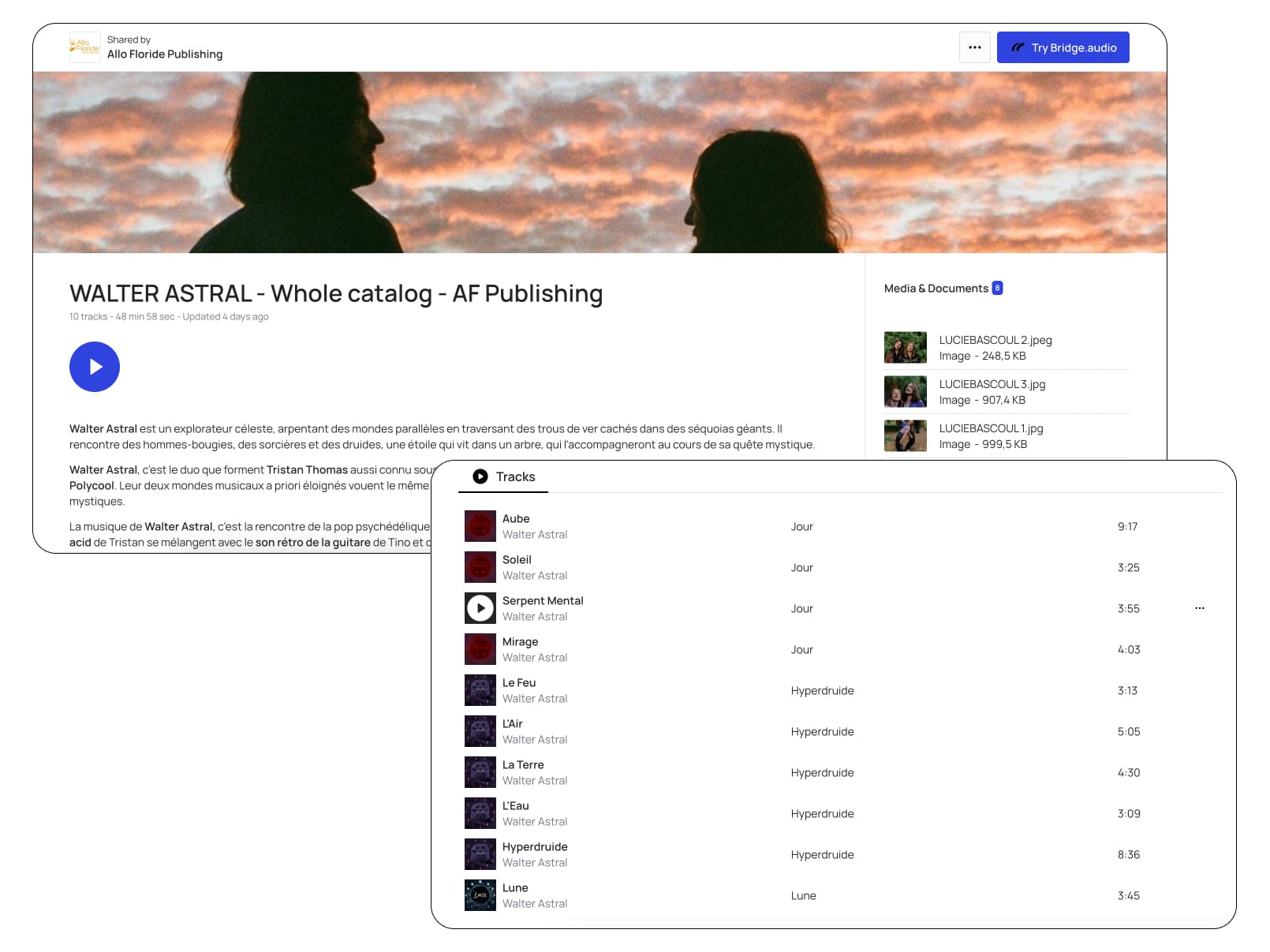 Screenshot of band Walter Astral’s Bridge project