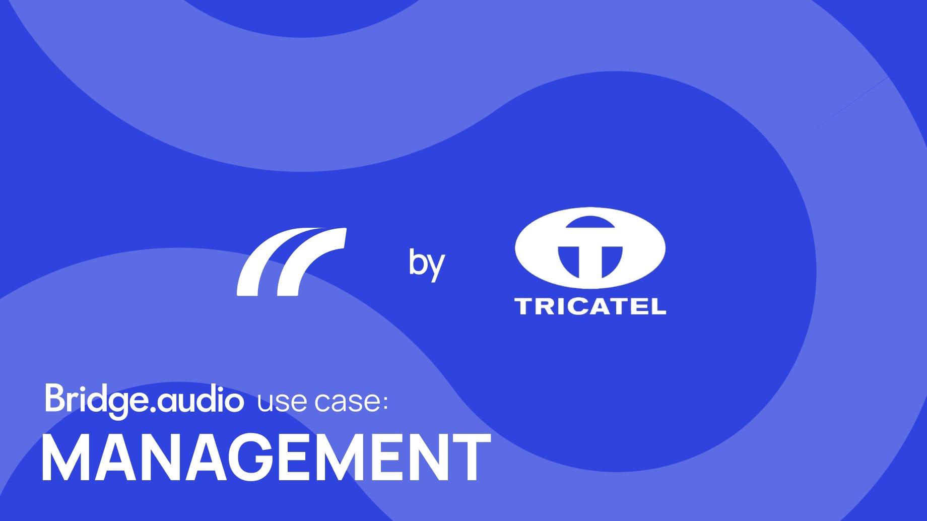 A graphic design image including Bridge.audio’s logo and Tricatel’s logo